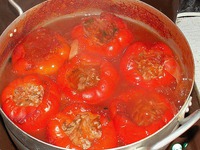 ������������� ����� �����������