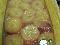 ��������-���������� ����-���������� �����������