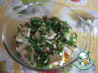 ����, �������� � ������� �����������