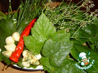 �������� ����������� �����������