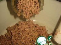 ������ �����������