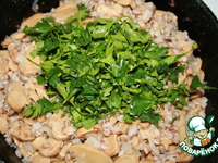 ����� �����������