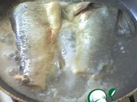 ����� "�������" �����������