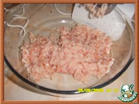 ������-����������  ���� �  ������� � ���������� �����������