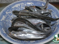 ����� � ������� �����������