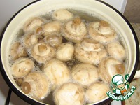 ������ � �������� ������ �����������