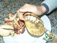 ���� ������������� �����������