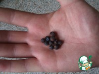 �������� "����" �����������