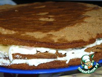 ��������-��������� ���� �����������