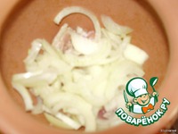 ���� �������� �����������