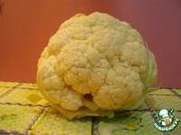 �������� � ������� �������� �����������