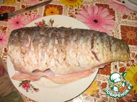 ����, ���������� � ����� �����������