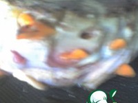 �������� ��-������� �����������