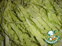 ����� �� �������� ������ � ��������� �������� �����������