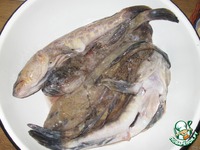 ����� ������� �����������