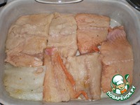 ������ ���� � �������� �����������