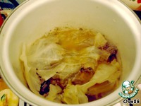 ����� �����������