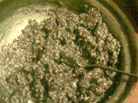 ���� "��������" �����������