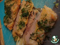 ������ ��������-�������� �����������