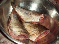 ������ ������� � �������� �����������