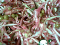 ������ �������� �����������