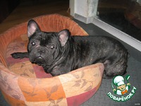 ��������� ������� �����������