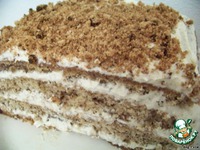 ���� ���������� �����������