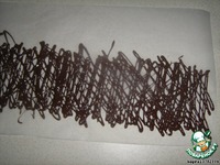 ���� "������" �����������