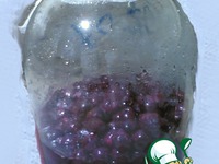 �������� �����������