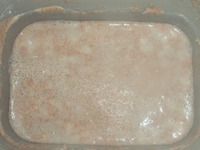 ��������-������ ���� �� �������� �����������