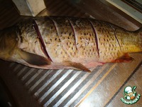 ���������� ���� �����������