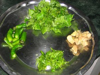 ����� ���� ���e��� �����������