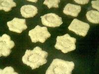 ������� "������������ ������" �����������