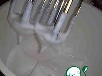 ����  �������� ����� �����������