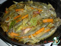 �������� � �������� "��������" �����������