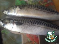 �������� �-�� �������� �����������