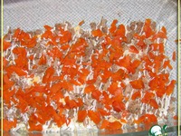 ����� ���������� � ��������� �����������