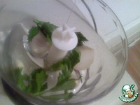 ����� ������������ "��������" �����������