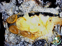 ������ ������ � ������ �����������