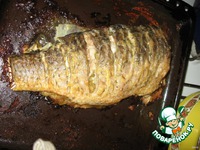 ����, ���������� � ����� �����������