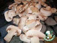 ������� ������ � ��������� � ����� ����� �����������