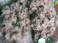 �������� � "����������" �����������