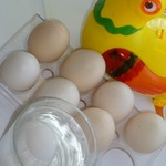 ������ ����