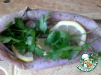 ������, ��������� � ������� � ��������� �����������