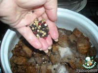 ������ ���������  ��-����������� �����������