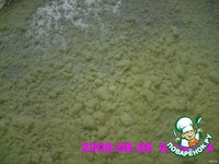 ��� ���� �����������