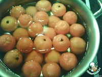 ������������ ������� �����������