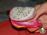 ��������-��������� ���� �����������