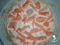 ����  ���������� �����������