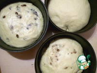 ������ "���������" �������� �����������